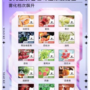 梟客 XIAOKE 五代通用煙彈 (適配Relx6代/ILIA五代)